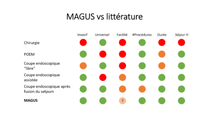 Huberland Magus defense these publique