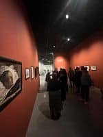 tn_IMG-20250216-WA0003